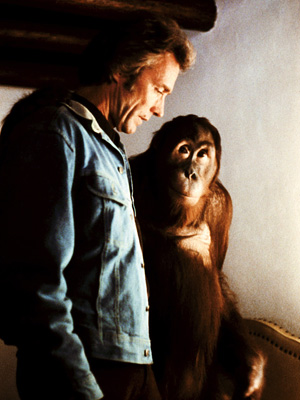 eastwood-storm_rider eastwood-storm_rider